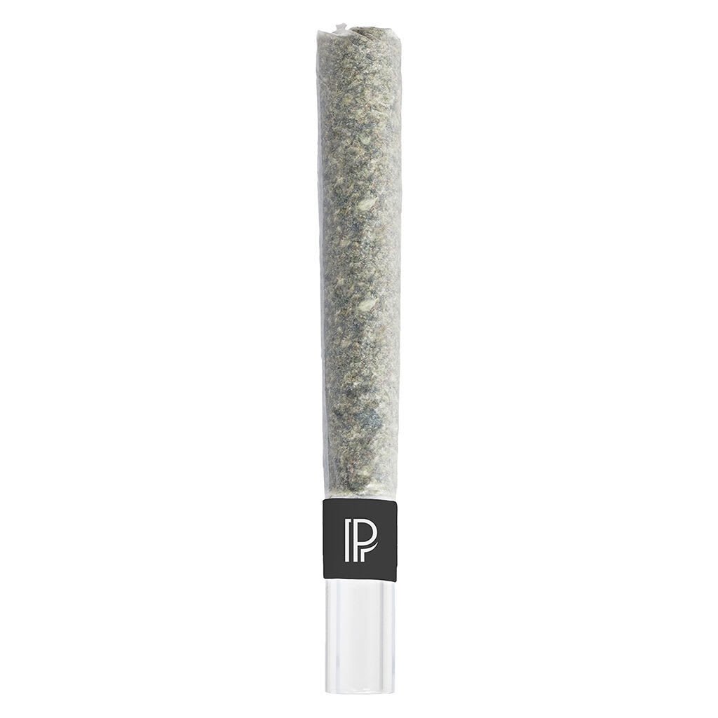 Pistol and Paris - Bubble Hash Infused Pre-Roll 1x1g - Bubble Hash Infused Pre-Roll 1x1g Hash and Kief